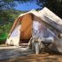 POZ, our Inuit Tents